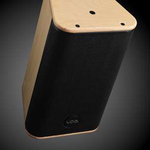 Barewood Finish Void Acoustics